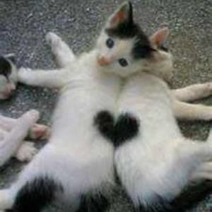 Meet your Posher, Gena